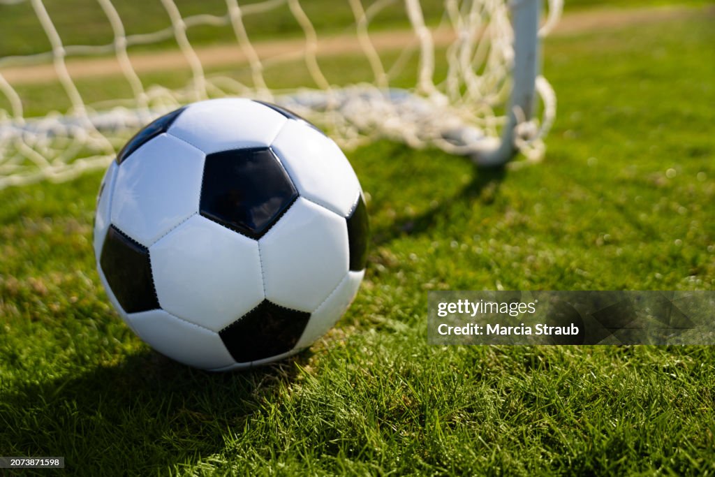Soccer Ball in the Grass by the Net