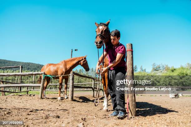 Boys On Ranches 5,565 Teen Ranch Stock Photos, High-Res Pictures, and Images - Getty Images