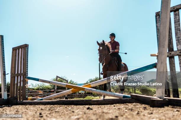 jockey on horse jumping over hurdle - horse trials stock pictures, royalty-free photos & images