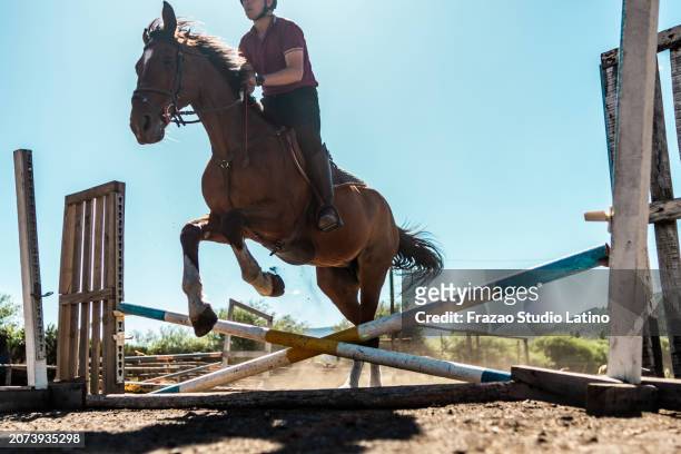 jockey on horse jumping over hurdle - horse trials stock pictures, royalty-free photos & images