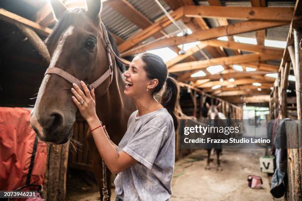 junge frau streichelt pferd auf einem stall - bauernhof stock-fotos und bilder