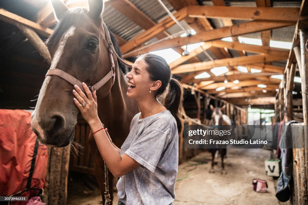 Young woman petting horse on a stable