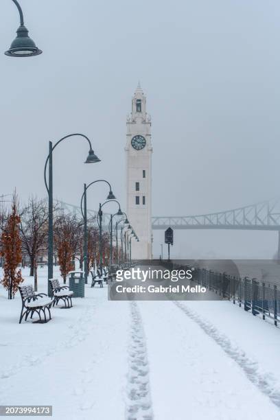 vieux montreal on a snowy winter day - vieux stock pictures, royalty-free photos & images
