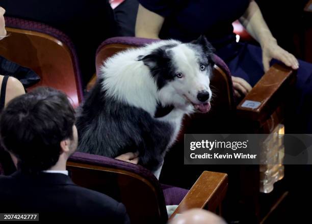 Messi in the audience during the 96th Annual Academy Awards at Dolby Theatre on March 10, 2024 in Hollywood, California.