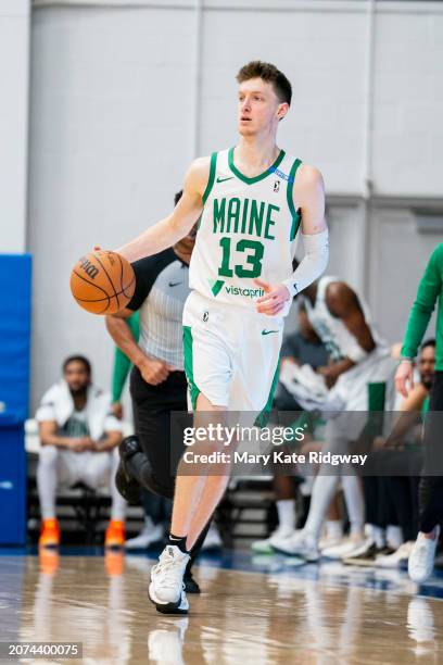 Drew Peterson of the Main Celtics handles the ball during the game against the Delaware Blue Coats on March 13, 2024 at Chase Fieldhouse in...