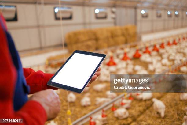farmer analyzing data - barn stock pictures, royalty-free photos & images