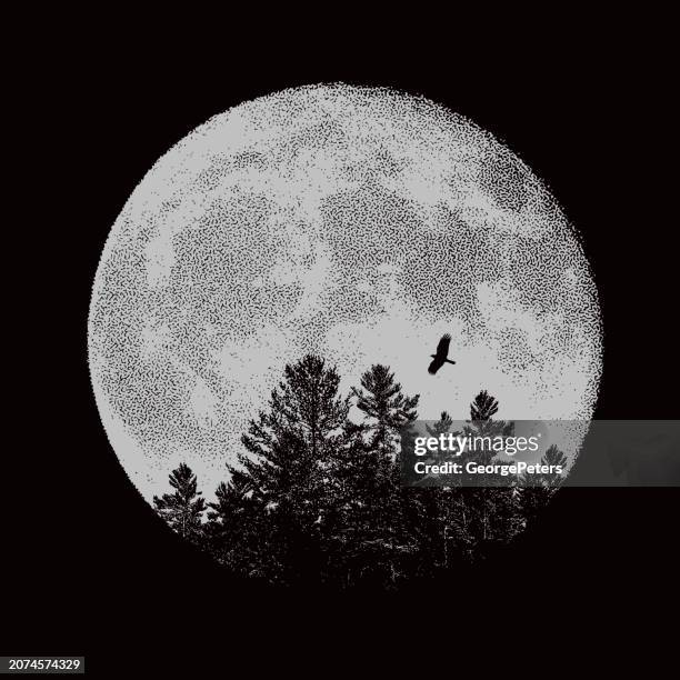 136 Full Moon Line Drawing Stock Photos, High-Res Pictures, and Images ...