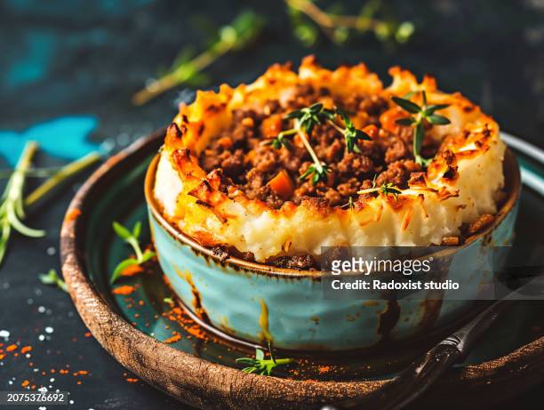 shepherd's pie food in modern ceramic bowl on dark slate table - clean slate stock pictures, royalty-free photos & images