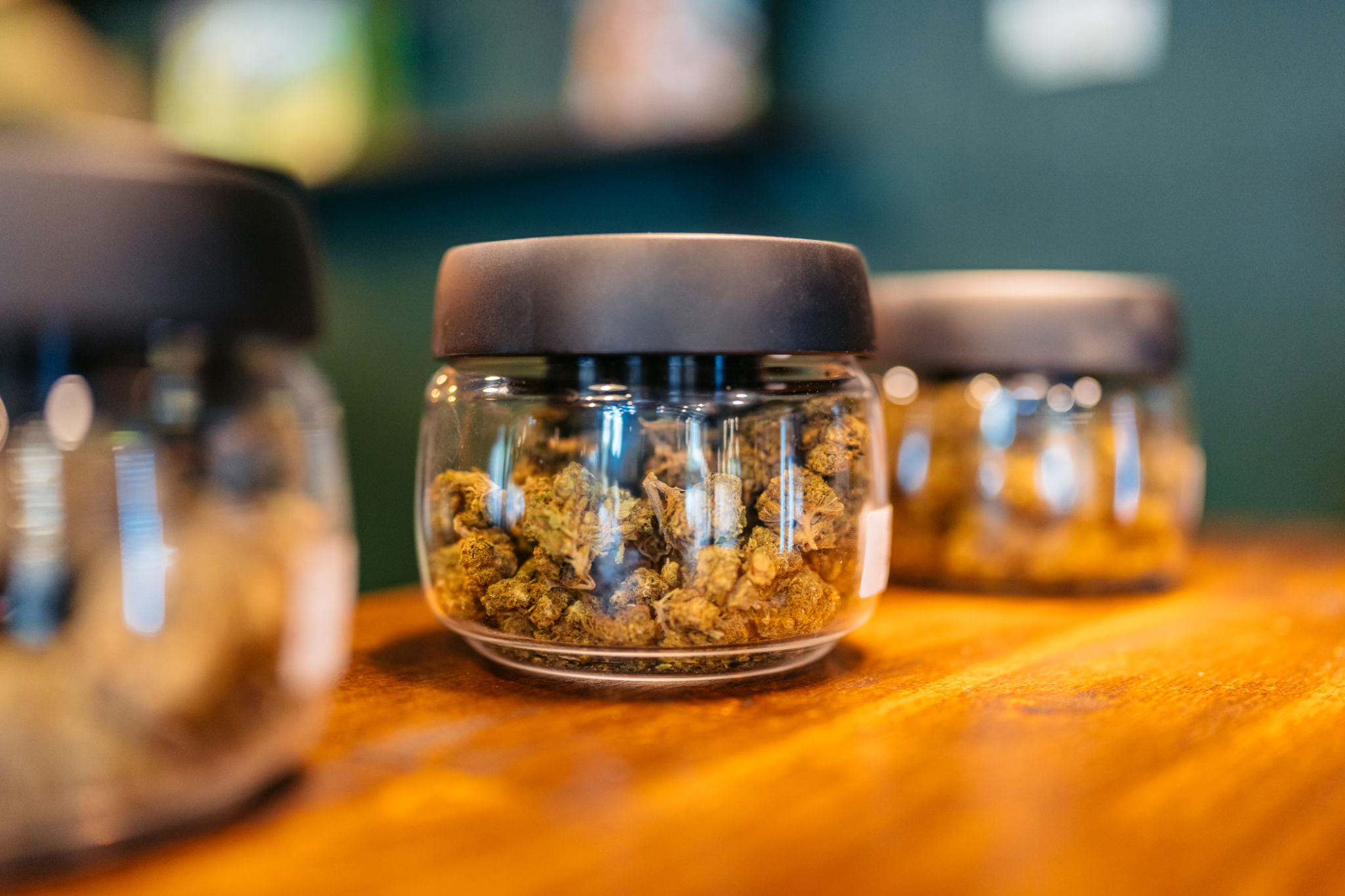 cannabis store interior