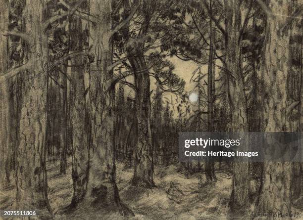 Deep in the Woods of the Krasnoyarsk Taiga, 1904. Boris Vasilievich Smirnov was a Russian artist who in 1904 traveled by prisoner transport from...