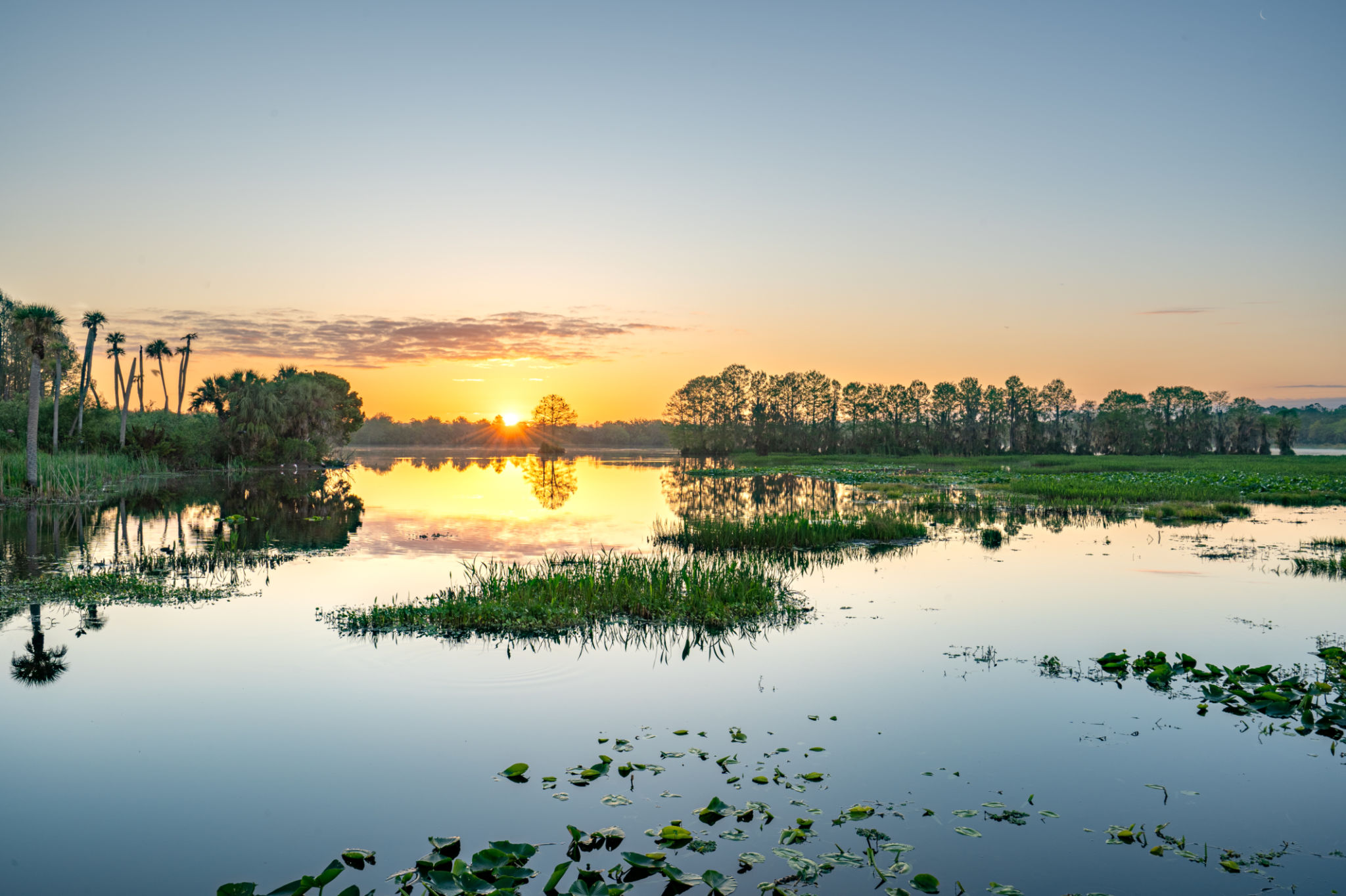 orlando scenery