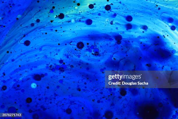 blue color blended in different tones - organismo vivo imagens e fotografias de stock