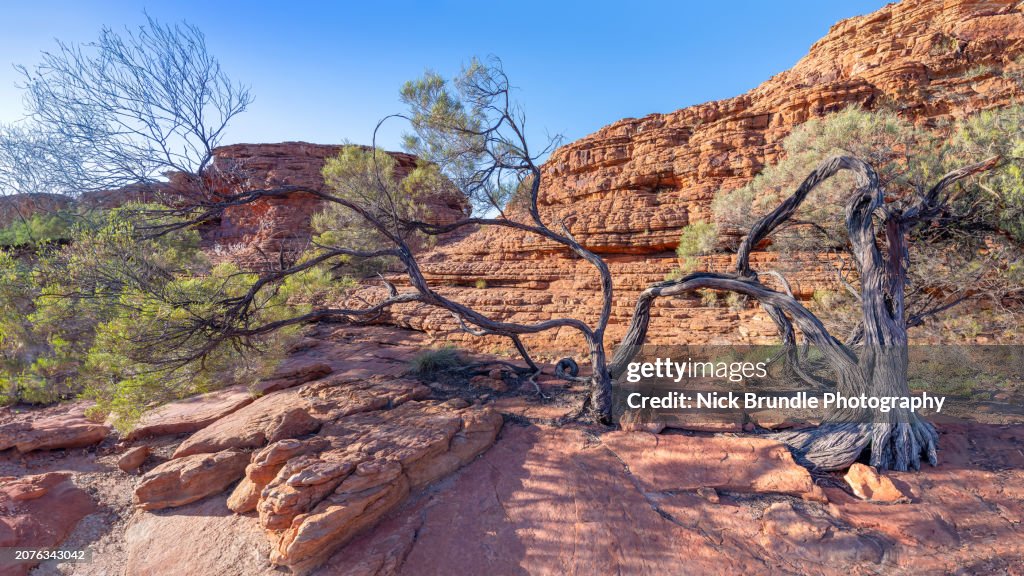 Kings Canyon, Northern Territory, Australia
