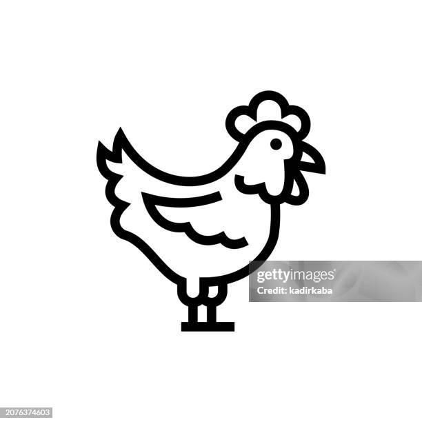 ilustrações de stock, clip art, desenhos animados e ícones de chicken and poultry line icon - gado animal doméstico