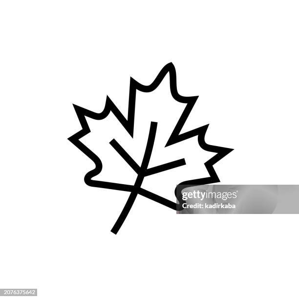 ilustraciones, imágenes clip art, dibujos animados e iconos de stock de icono de hoja caduca y línea de otoño - hoja de arce