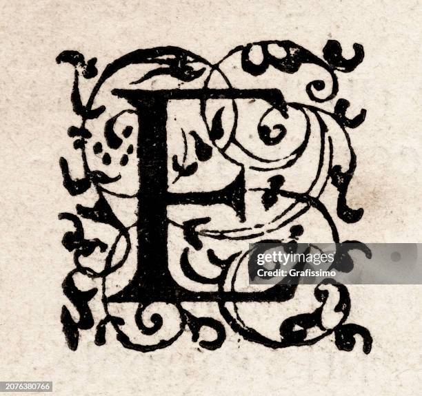 letter e as sixteenth-century medieval initial capital - 16th century style stock illustrations stock illustrations