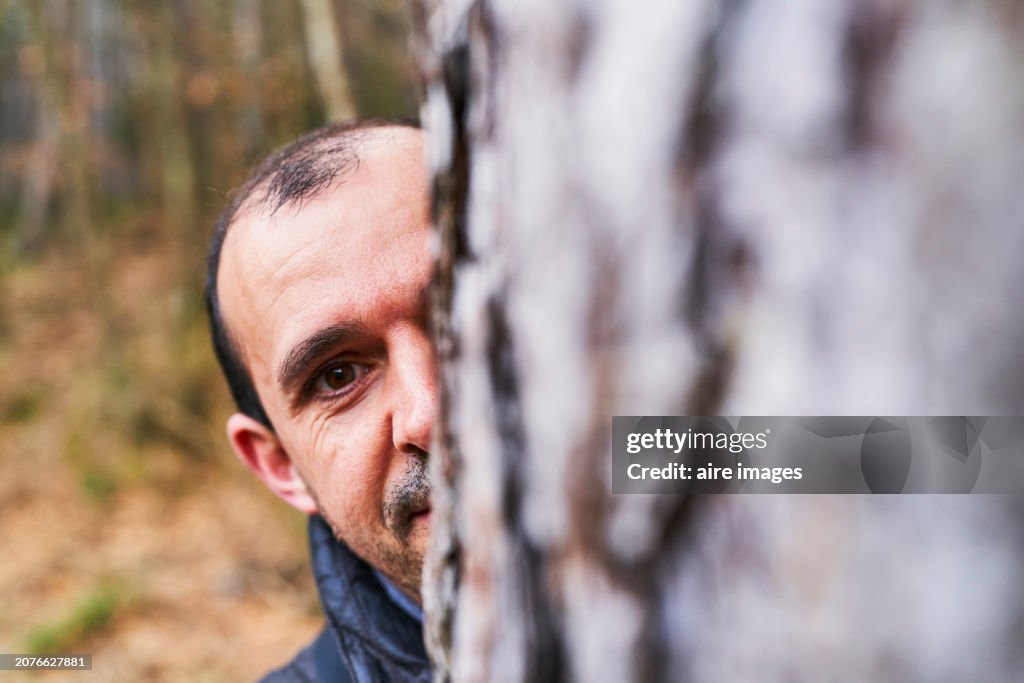 Front view of a tourist man in a coat looking at the camera while hiding behind a tree in the forest