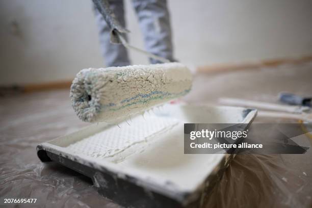 February 2024, Berlin: A woman picks up white paint to paint a wall. Photo: Sebastian Gollnow/dpa