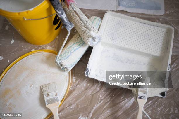 February 2024, Berlin: A brush and a roll of white paint lie on a paint tray next to a bucket from the company "Sto". Photo: Sebastian Gollnow/dpa