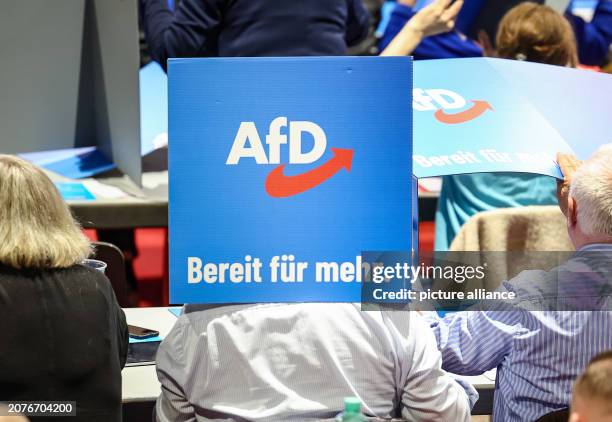 March 2024, Saxony, Glauchau: An AfD delegate clowns around with a mobile voting booth at the AfD state party conference. In the coming days, the...