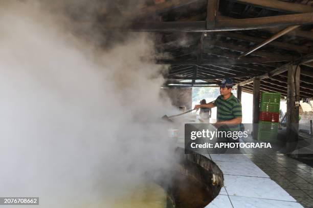 Worker extracts sweet 'panela' boiling in hours in a milling oven during the raw cane sugar festival in the municipality of San Lorenzo on March 14,...