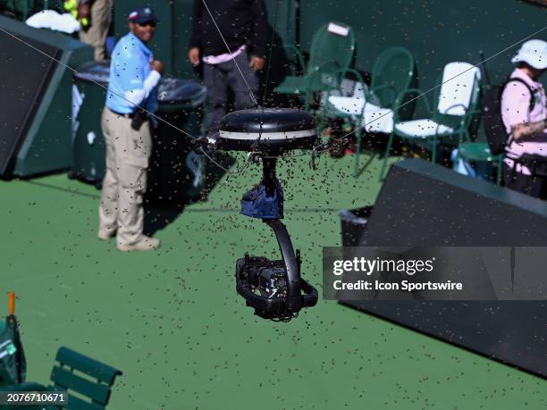 Play is suspended on stadium one because of a swarm of bees on a spidercam during an ATP quarterfinals match between Carlos Alcaraz and Alexander...