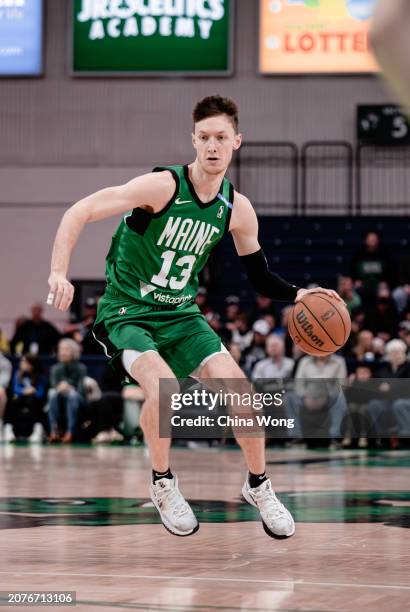 March 14: Drew Peterson of the Maine Celtics handles the ball during the game against the Greensboro Swarm on March 14, 2024 at Portland Expo Center...