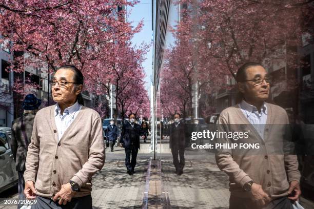 People walk underneath the cherry blossom trees at the Chuo district of Tokyo on March 15, 2024.