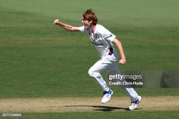 Callum Vidler of Queensland celebrates his first wicket after dismissing Daniel Hughes of New South Wales during the Sheffield Shield match between...