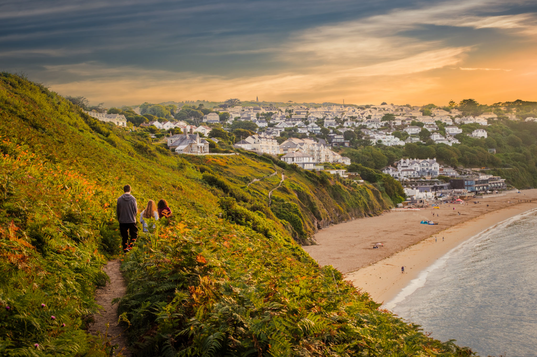 nature cornwall