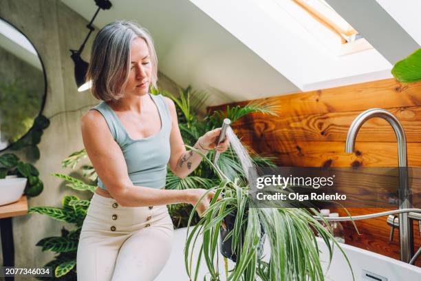 grizzled woman washing spider plant in her bright bathroom - woman in shower tattoo stock pictures, royalty-free photos & images