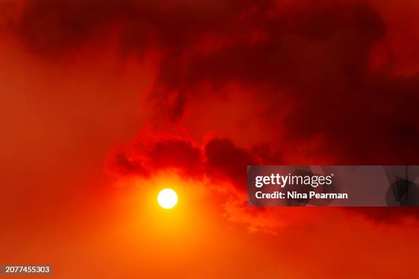 very warm weather - bruma de calor fotografías e imágenes de stock