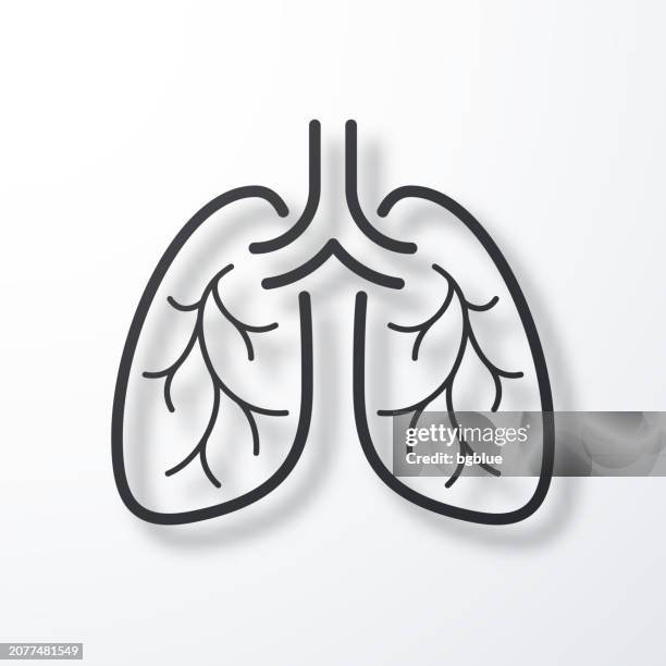 lunge. liniensymbol mit schatten auf weißem hintergrund - bronchialbaum stock-grafiken, -clipart, -cartoons und -symbole