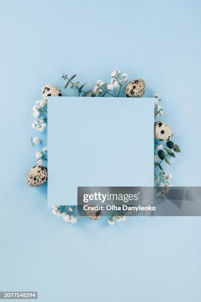 easter celebration concept. easter card with eggs and white flowers on a blue background - easter flowers stock pictures, royalty-free photos & images