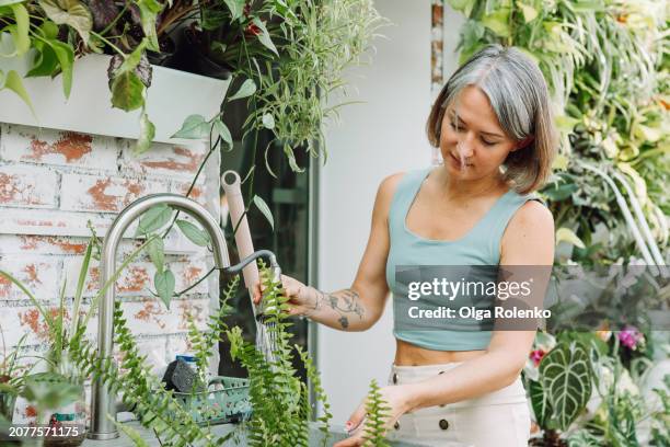 in home garden, woman washes plants with shower head sprayer in sink - woman in shower tattoo stock pictures, royalty-free photos & images