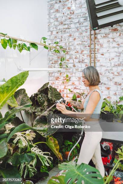healthy plants in garden center, woman watering flowers and plants in a bright indoor garden - woman in shower tattoo stock pictures, royalty-free photos & images