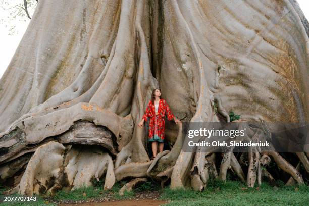femme en contact avec la nature appréciant l’interaction avec le banian géant à bali - zone-arborée photos et images de collection