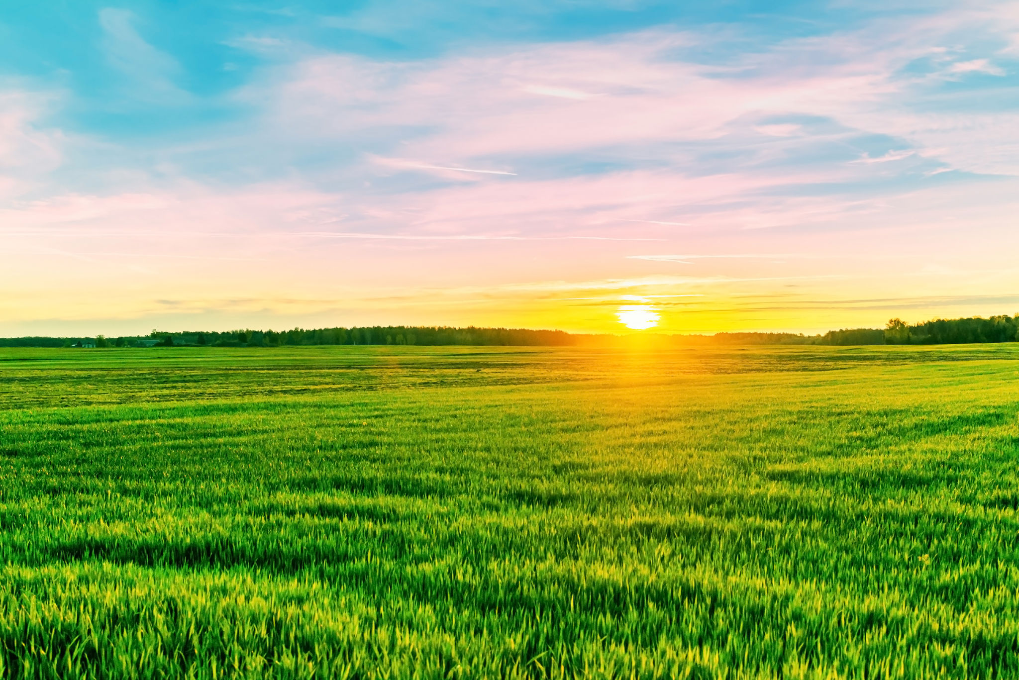 green field