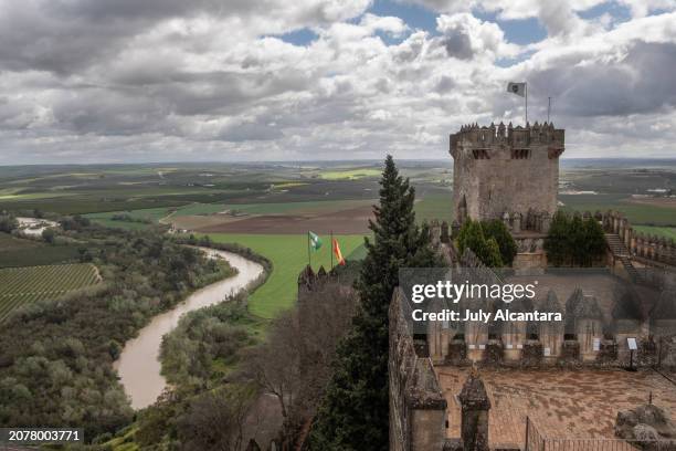 almodóvar del río, castillo. córdoba, andalucía, españa. - castillo de almodovar del rio fotografías e imágenes de stock