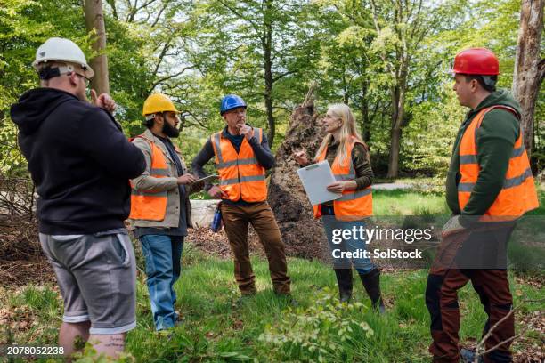 tree surgeons in discussion - clipboard stock pictures, royalty-free photos & images