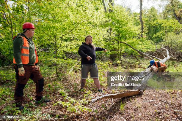 clearing the forest of fallen trees - biomass ecological concept stock pictures, royalty-free photos & images
