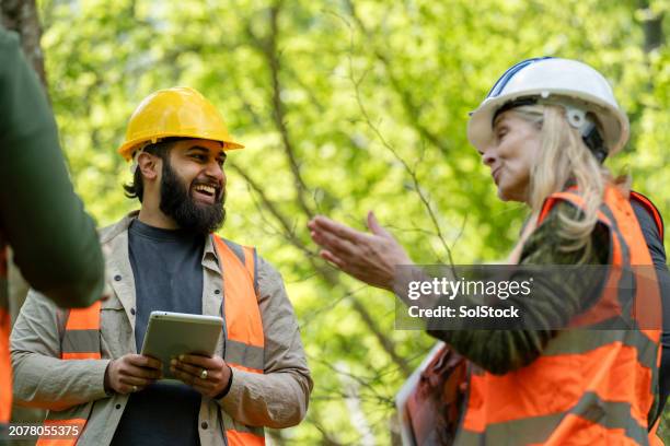 creating forest plans - ecologist stock pictures, royalty-free photos & images