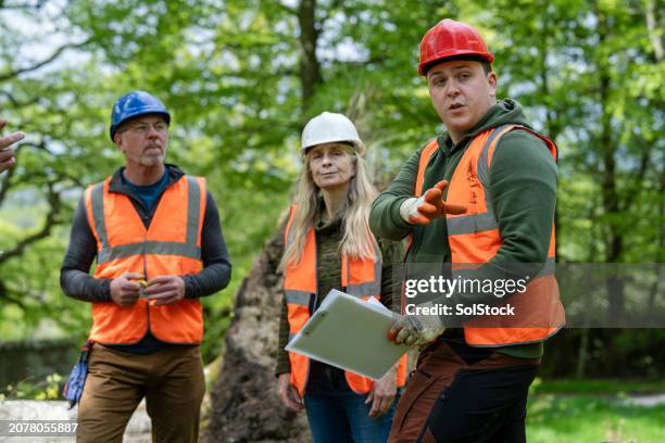 tree surgeons planning amongst nature - biomass ecological concept stock pictures, royalty-free photos & images