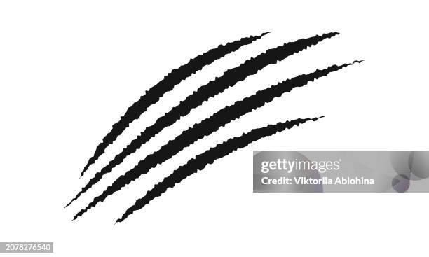 scratch claw marks. cat, tiger, bear, wolf, dragon, monster, werewolf talons trace isolated on white background. scary torn scars. wild animals scratches track - claw stock illustrations