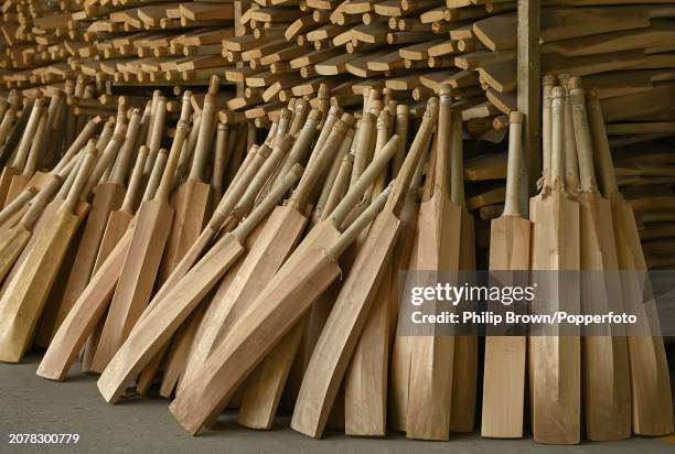 Cricket bats stacked up at Sanspareils Greenlands cricket equipment factory in Gangol Road on March 12, 2024 in Meerut, India.