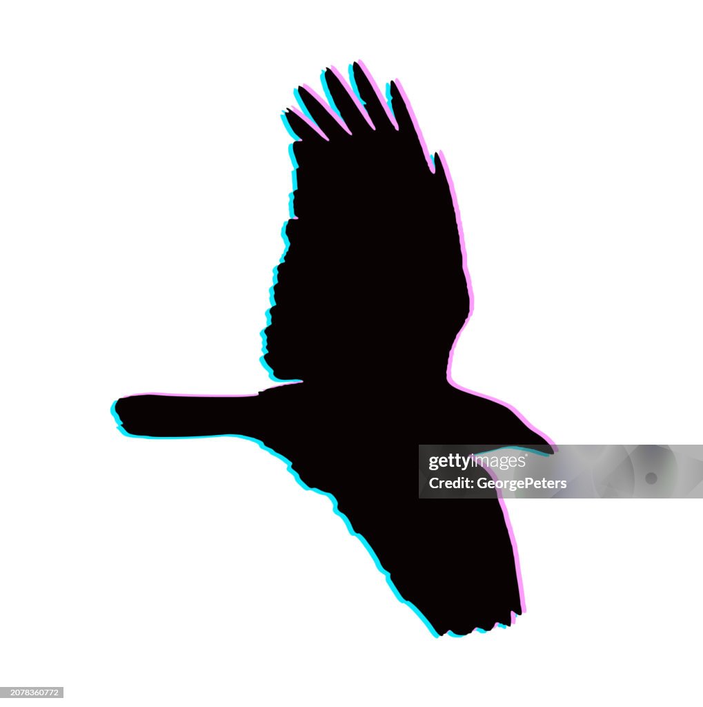 Crow Flying with Glitch Technique