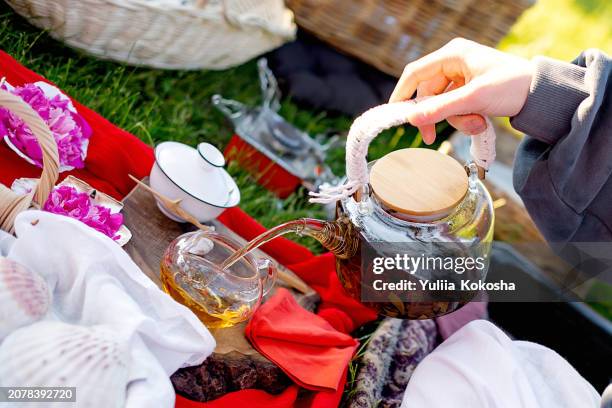 close-up woman having herbal tea - field marigold stock pictures, royalty-free photos & images