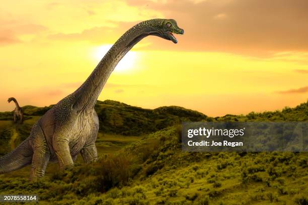 dinosaurs at sunset - dinosauri foto e immagini stock