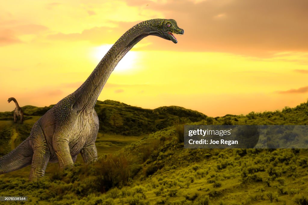 Dinosaurs at Sunset