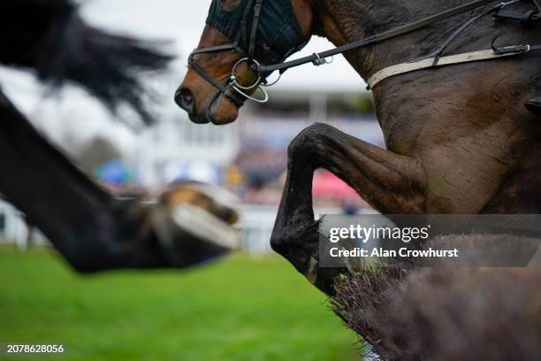 General view as runners clear a fence during day one of the Cheltenham Festival 2024 at Cheltenham Racecourse on March 12, 2024 in Cheltenham,...